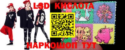 прущие крисы Бийск