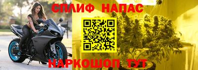 прущие крисы Бийск